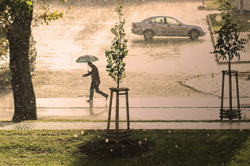 Погода в Белгородской области ухудшится