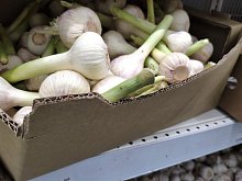 Советы врача: топ продуктов для поддержки иммунитета