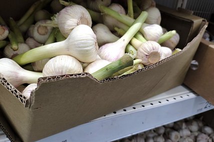 Советы врача: топ продуктов для поддержки иммунитета