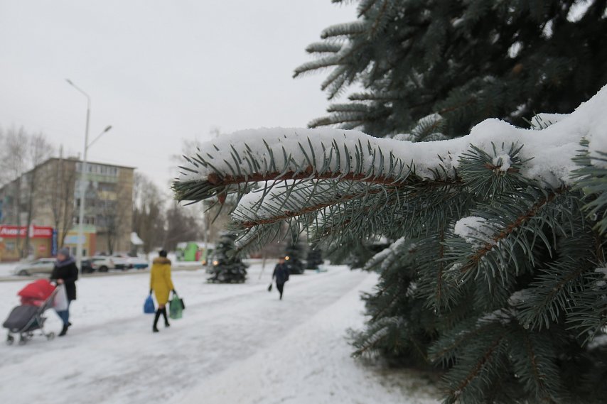 МЧС объявило штормовое предупреждение в Белгородской области из-за аномальных морозов
