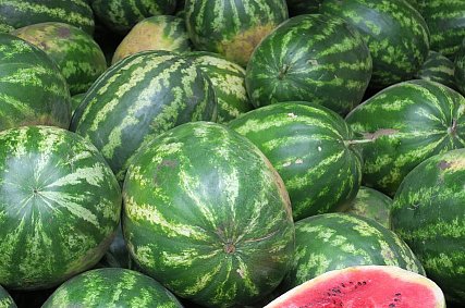 На гриле и с тунцом: вкусные и необычные блюда из арбуза