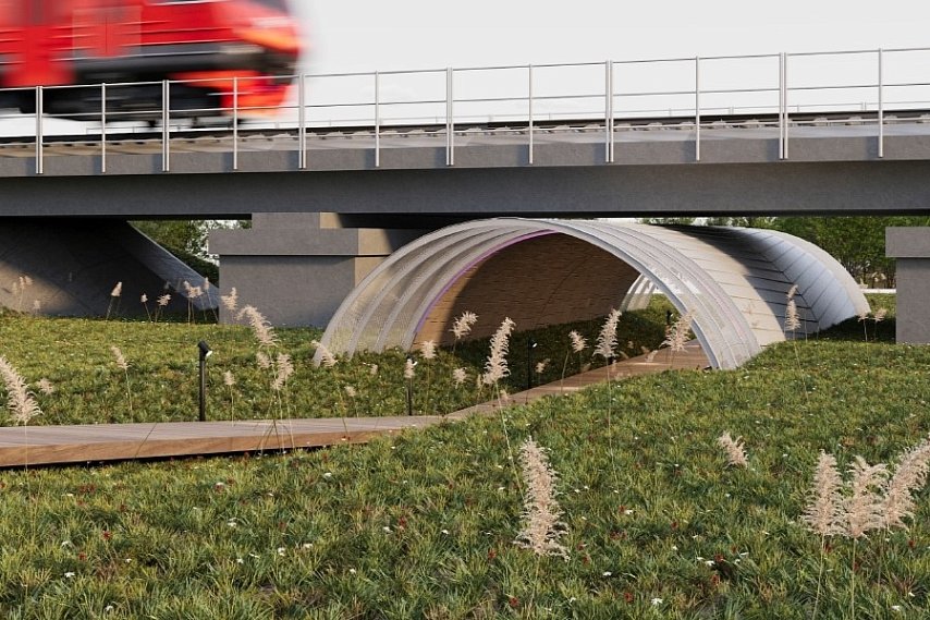 В Губкине соединят городской парк и лесопляж