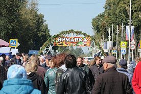 Традиционная ярмарка «Золотая осень» прошла в Губкине