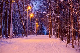 Лыжероллерная трасса Губкина зимним вечером