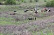В Губкине реконструировали один из завершающих Великую Отечественную войну боёв 