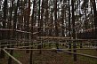 От школьников до директоров: зачем участники кросса Лебединского ГОКа окунулись в болото