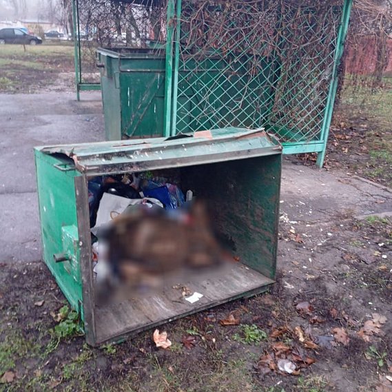 Мёртвого барана нашли в мусорном баке в Губкине