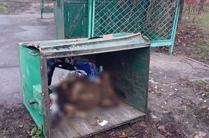 Мёртвого барана нашли в мусорном баке в Губкине