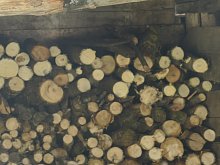 В Губкине выполнили план по заготовке дров для домов с печным отоплением 