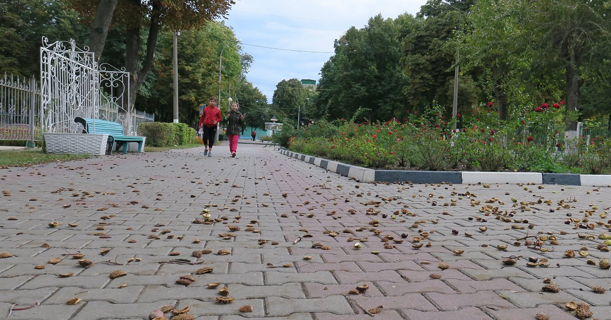 Погода в губкине на 3 дня