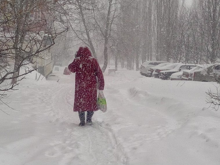 Белгородскую область накрыл снежный циклон
