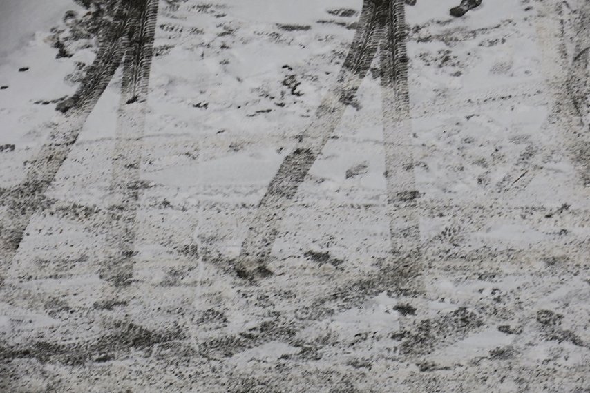 Синоптики спрогнозировали первую оттепель в Белгородской области