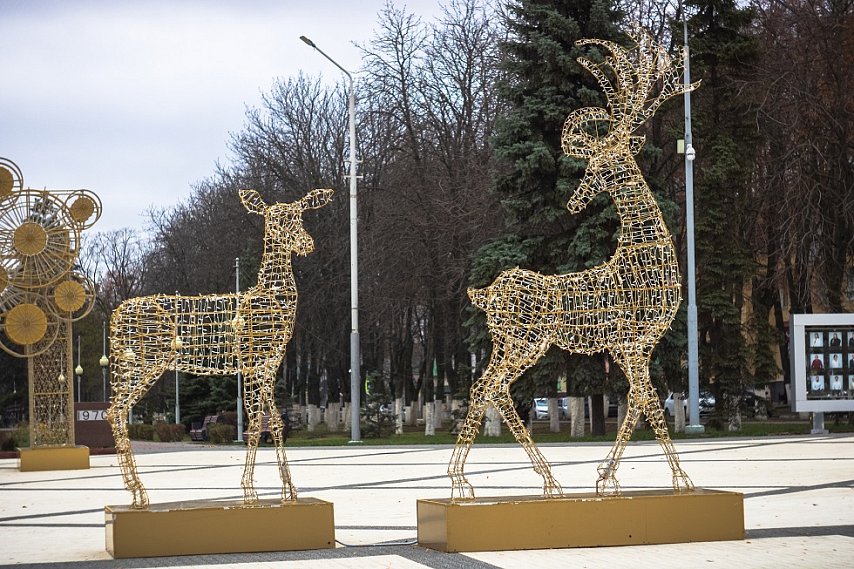 Куда сходить в выходные, 22 и 23 ноября, в Губкине