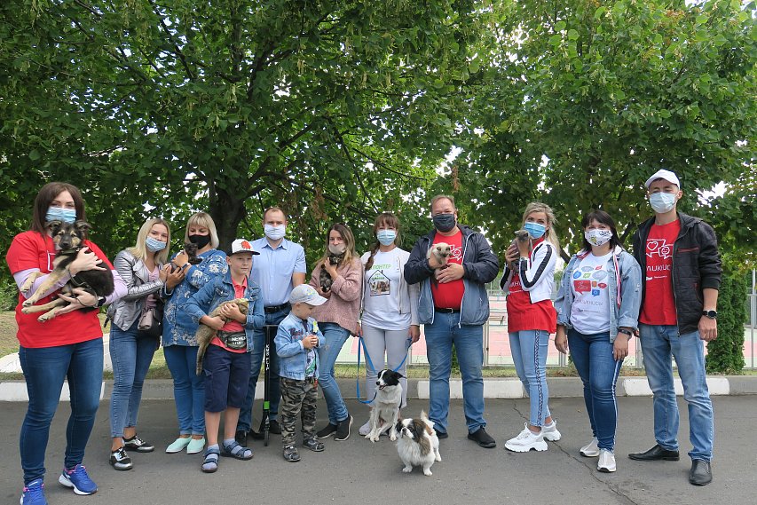 Волонтёры Лебединского ГОКа решили помочь бездомным животным Губкина