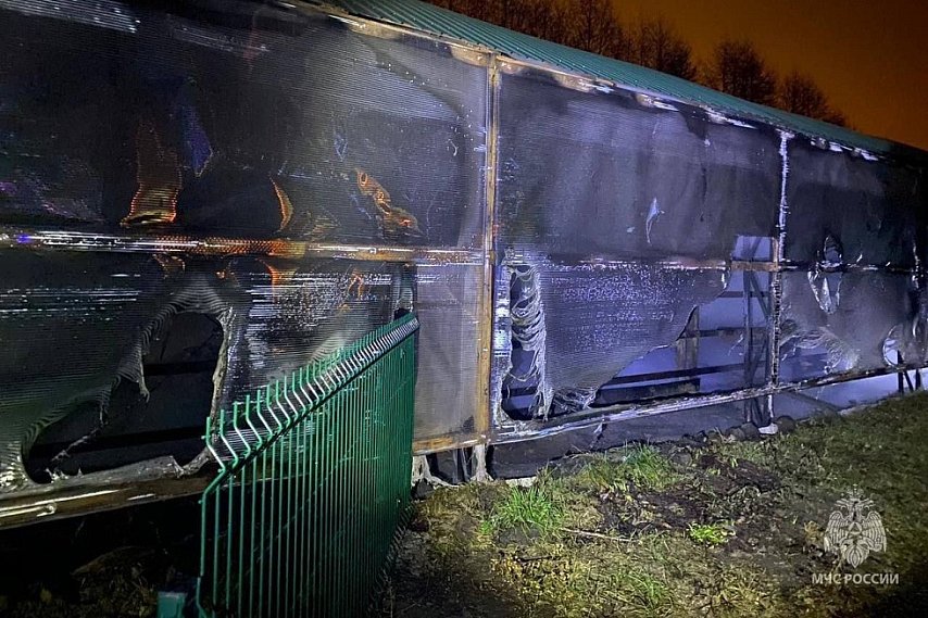 В старооскольском зоопарке при пожаре погибли зебры