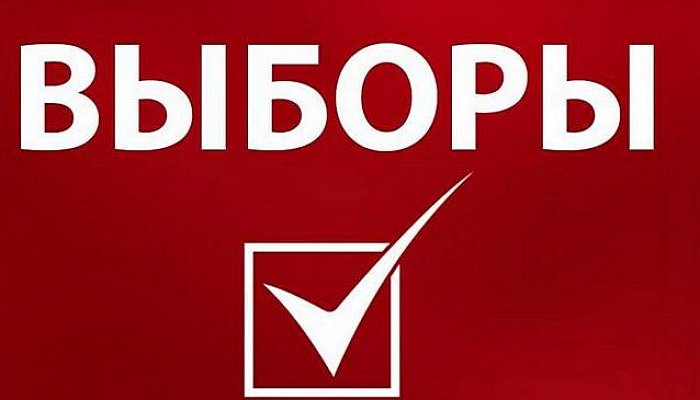 В Губкине пройдут дополнительные выборы депутатов Белгородской облдумы