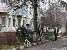 В Губкине вырубают сухие деревья