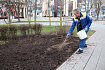 В Губкине до конца апреля восстановят благоустройство территорий после ремонтов тепловых сетей