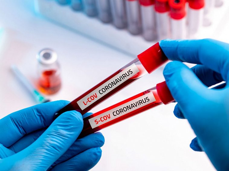 Информация по заболеваемости коронавирусом в Губкине и Белгородской области на 7 июня