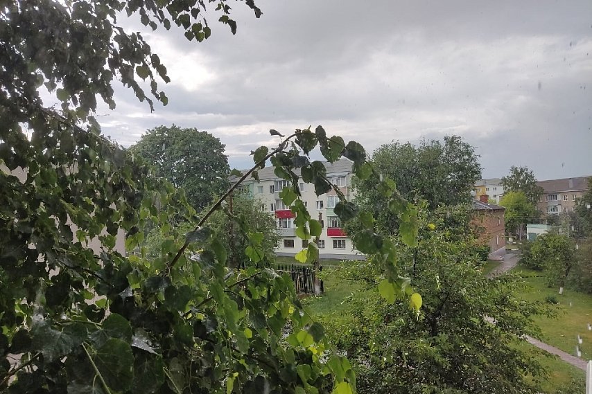 В Белгородской области объявили штормовое предупреждение из-за сильного ветра 