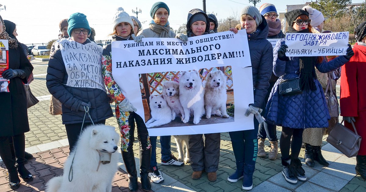 Зоозащитники это. Зоозащитники. Зоозащитники картинки. Зоозащитники России. Зоозащитники в городе Караганда\.