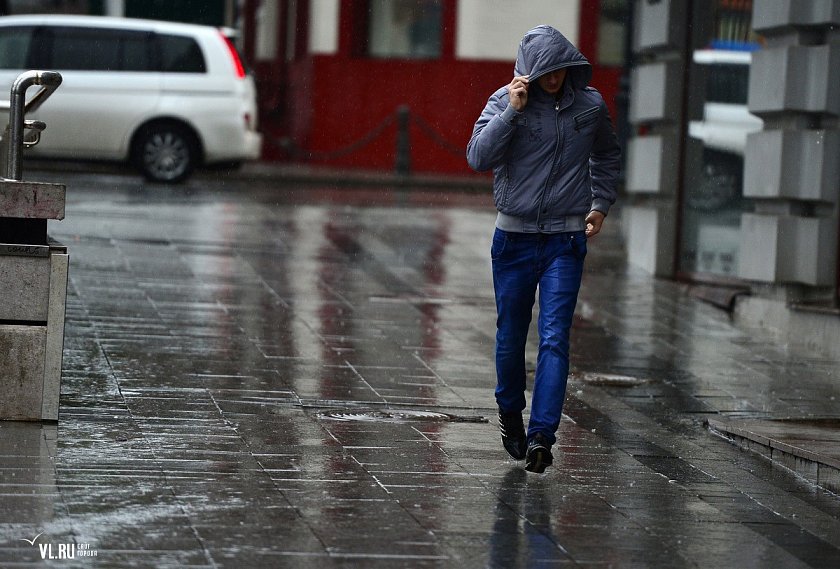 Дожди и похолодание надолго испортят погоду в Белгородской области 