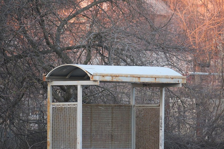 Губкинцы выбрали остановку для рельсового автобуса Воронеж – Белгород