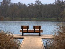 Куда сходить в выходные, 15 и 16 ноября, в Губкине