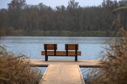 Куда сходить в выходные, 15 и 16 ноября, в Губкине