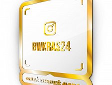 Инставизитка