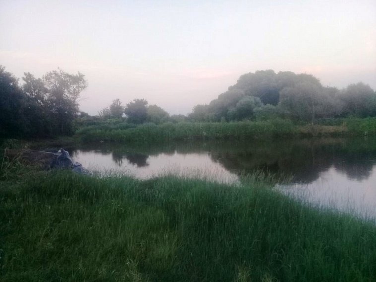 Снова трагедия на воде: в Белгородской области утонул подросток