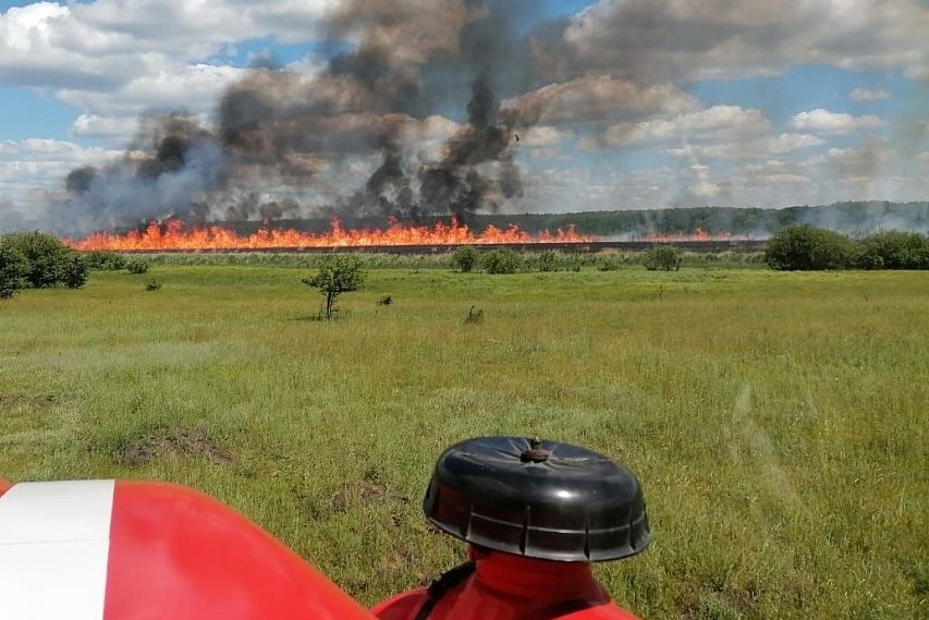 В Губкинском округе из-за жары ввели 4 класс пожарной опасности 