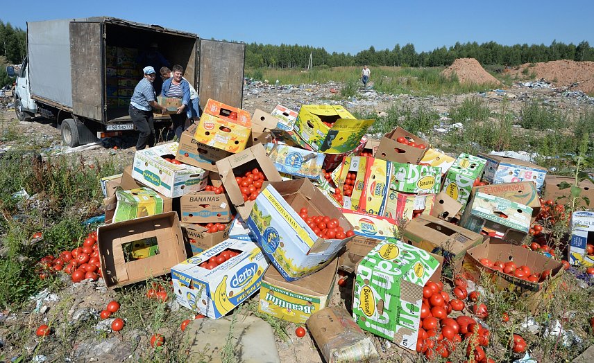 Белгородская область – в лидерах по уничтожению санкционных продуктов
