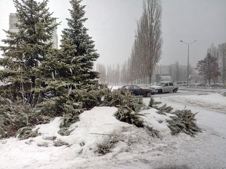 23 февраля Белгородская область встречает по-мужски: крепким морозом и сильным ветром