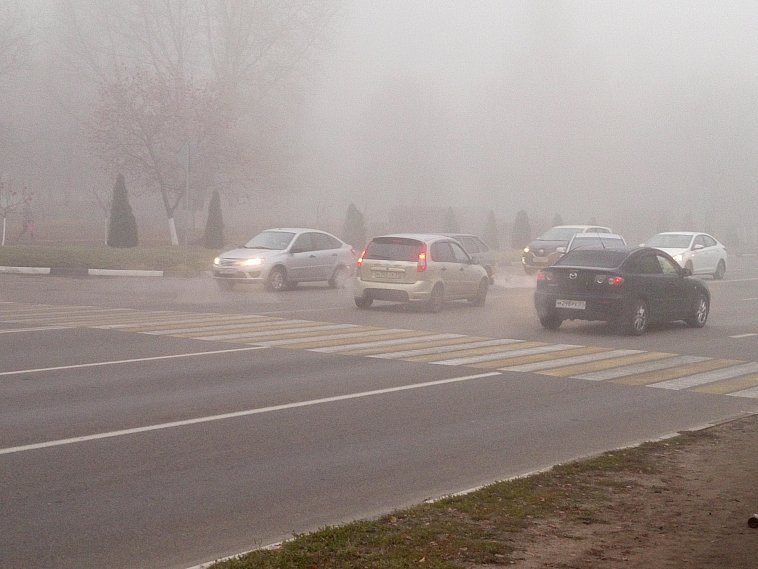 Белгородскую, Курскую, Воронежские области накрыл плотный туман