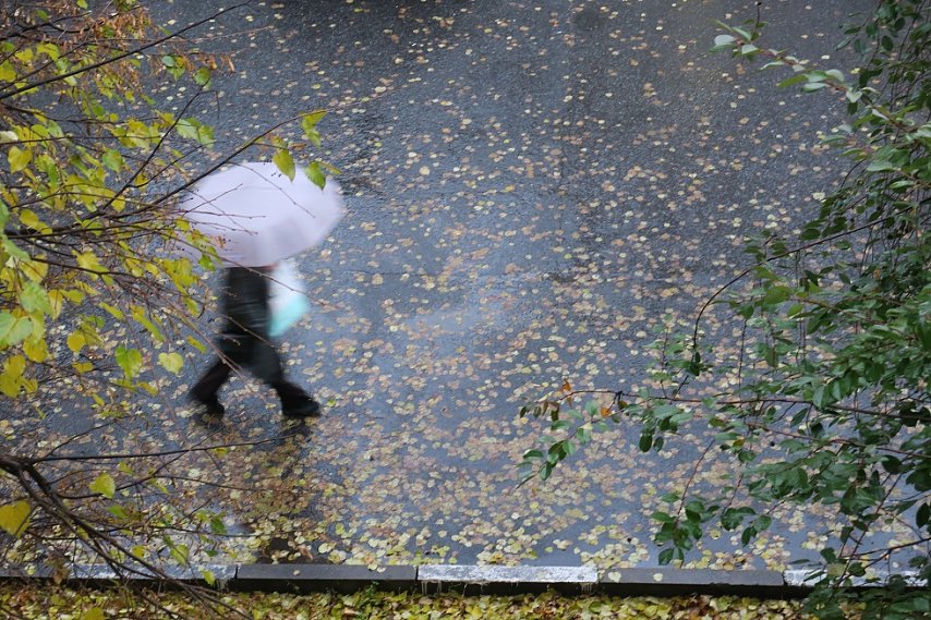 Новые законы ноября–2025: что ждёт жителей Губкина и всех россиян 