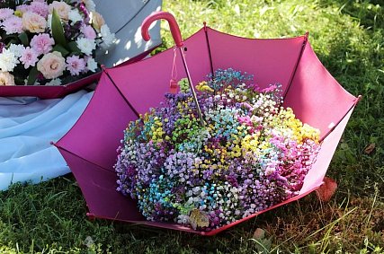 В Губкине стартовал приём заявок для участие в выставке цветов
