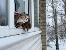 В Белгородской области ожидается сильный ветер и гололедица