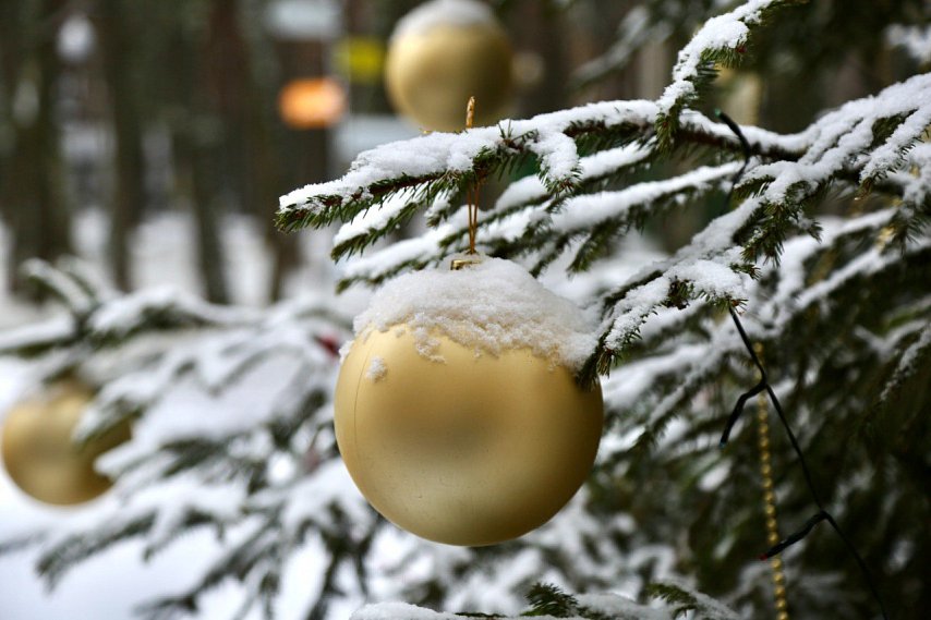 Новогодние каникулы россиян продлятся рекордные 12 дней