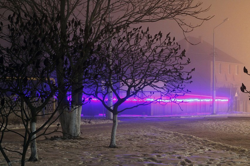 Плюсовая температура, туман и дождь ожидают жителей Белгородской области