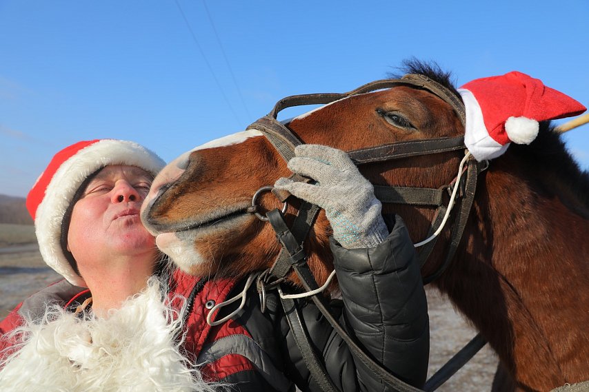Мечта по имени Кроха. Зачем губкинцу Сергею Мигунову собственная лошадь