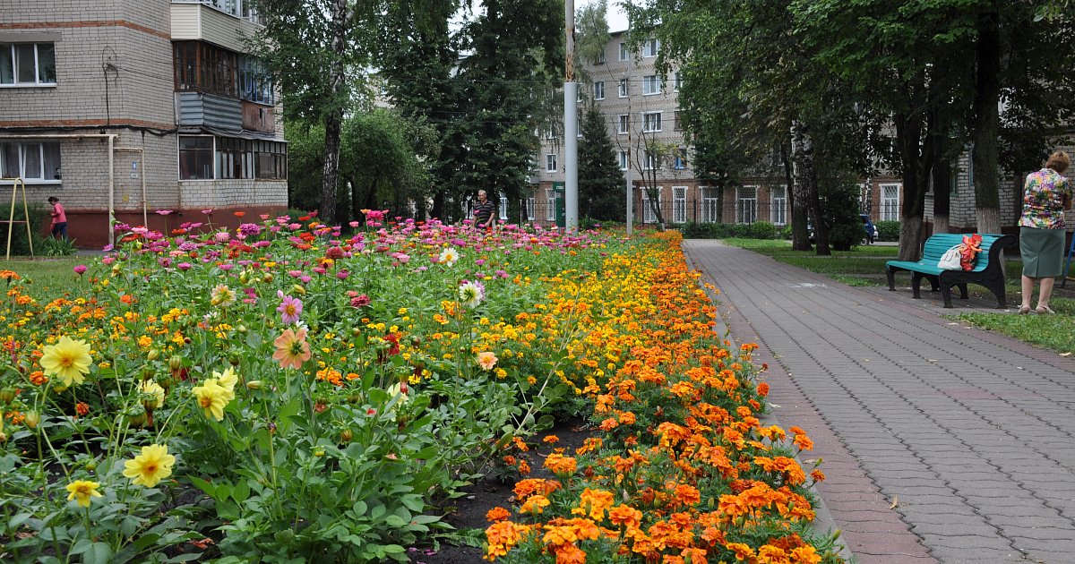 Погода г губкин белгородской обл