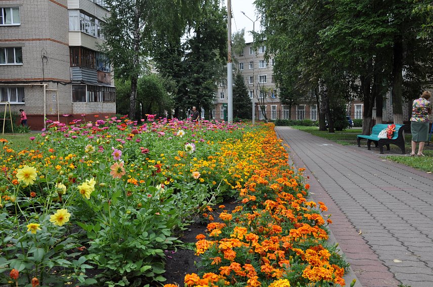 Губкин стал самым благоустроенным городом Белгородской области