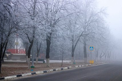 МЧС предупредило о тумане в субботу в Белгородской области