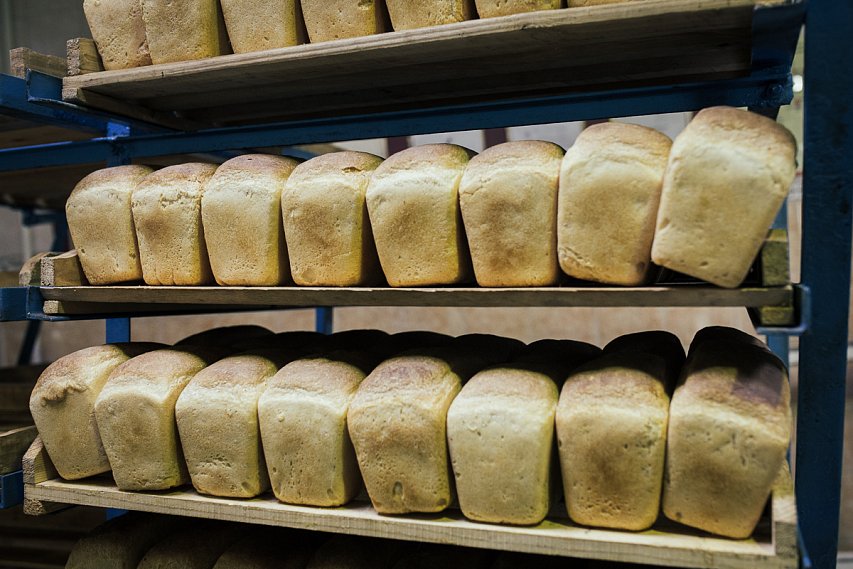Белгородец пожаловались на подкуп избирателей …бесплатным хлебом