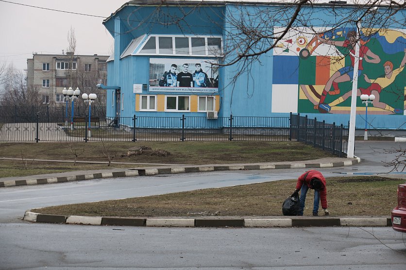 Губкин лебеди карта