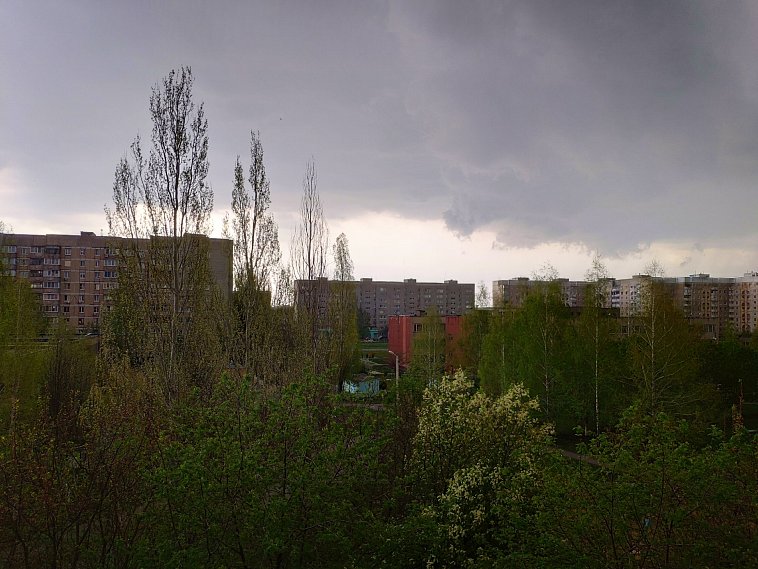 МЧС объявило штормовое предупреждение в Белгородской области