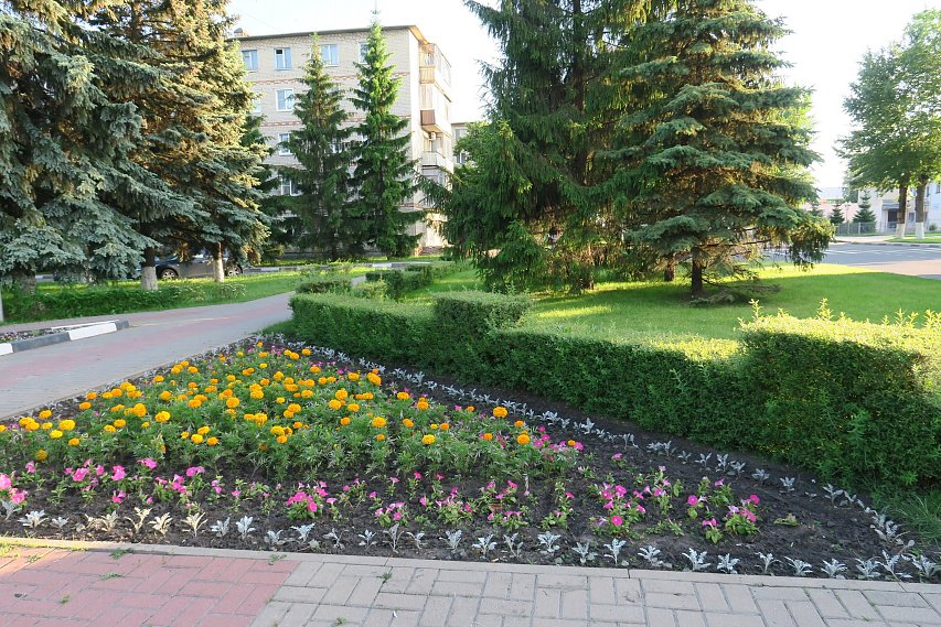 Новости Губкина: наш город признан самым благоустроенным в Белгородской области
