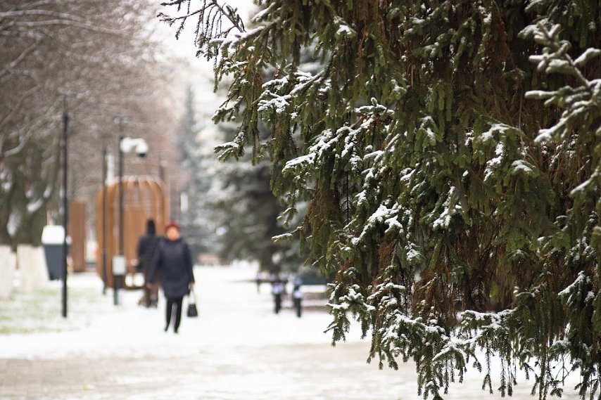Куда сходить в выходные, 20 и 21 декабря, в Губкине
