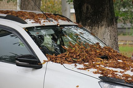 Один из самых доступных полисов ОСАГО — в Белгородской области